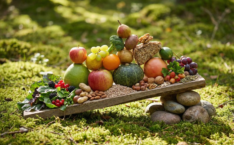 Equilibrio nutrizionale